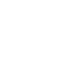 Video Control Volume